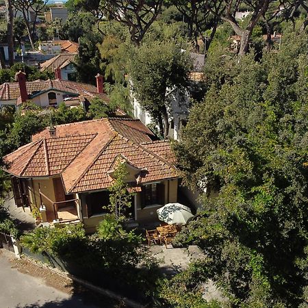 Exclusive Charming Villa - Free Parking 400 Mq Garden - Rome Airport - Roseto Villa Dream Fregenae Exterior photo